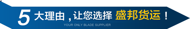 選擇盛邦貨運(yùn)的5大理由